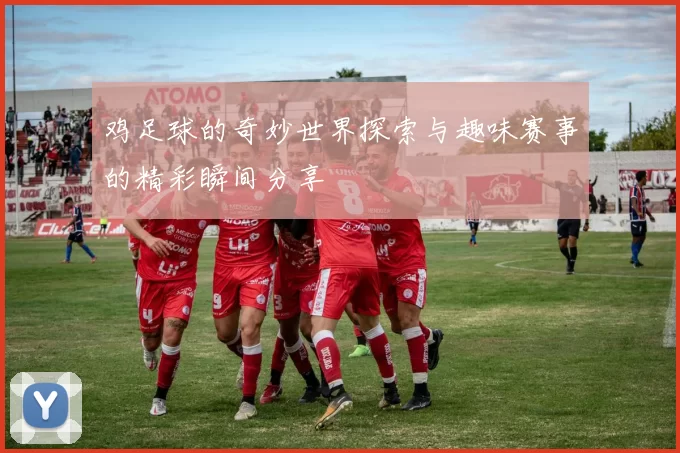 鸡足球的奇妙世界探索与趣味赛事的精彩瞬间分享