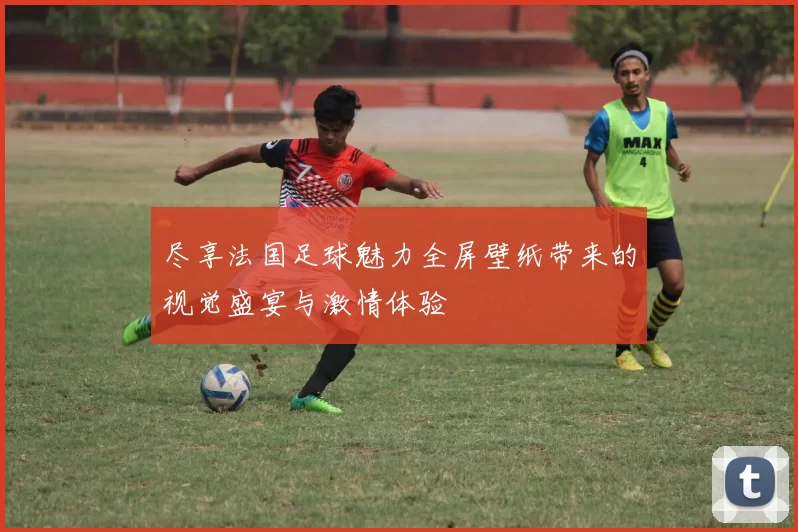 尽享法国足球魅力全屏壁纸带来的视觉盛宴与激情体验